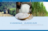 Informe Azúcar 64 - alimentosargentinos.gob.ar€¦ · Informe de Coyuntura Mensual CADENA AZÚCAR Contenidos Evolución de precios de azúcar blanco y crudo Etanol Alcoholes Warrants