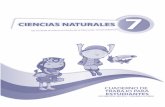 PRESIDENTE DE LA REPÚBLICA - Institución del …educacion.gob.ec/.../2012/08/cuaderno_naturales_septimo_ano.pdf · Desarrolla la siguiente tabla con las características de la biodiversidad