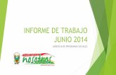 INFORME DE TRABAJO ENERO 2014 · MISION Y VISION DE LA MUNICIPALIDAD DE JALAPA Misión: Garantizar las condiciones que permitan incrementar el desarrollo local, brindando mejores