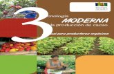 Tecnología 3 moderna - mag.go.cr3).pdf · ANEXO 1. Ejemplos de insecticidas y fungicidas útiles para ... Tecnología MODERNA en la Producción de Cacao ... Los síntomas de la enfermedad