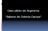 Caso piloto de Argentina “Salame de Colonia Caroya” · Taller con elaboradores. ... Continuar con degustaciones para detectar no conformidades óproductos fuera de tipo ... Redacción