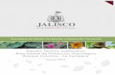 CONTENIDO - semadet.jalisco.gob.mx · 4 Criterios para Manejar los Canales Naturales._____ 85 Perdida de la Mayoría de los Cauces de Primer y Segundo Orden _____ 85
