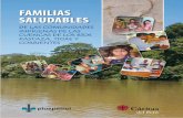FAMILIAS SALUDABLES - caritas.org.pe · han elaborado tomando en cuenta la línea de base sobre conocimientos, actitudes y prácticas familiares relacionadas con la salud y nutrición