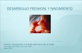 DESARROLLO PRENATAL Y NACIMIENTO - Asistentes de …asistentesto.weebly.com/.../desarrollo_prenatal_y_nacimiento.pdf · Características de la Madre y su salud Tipos de nacimientos.