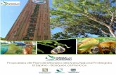 Propuesta de Plan de Manejo Área Natural Protegida · Propuesta de Plan de Manejo del Área Natural Protegida El Espino – Bosque Los Pericos Comité Ejecutivo Parque del Bicentenario