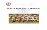 PLAN DE DESARROLLO REGIONAL CONCERTADO … · PLAN DE DESARROLLO REGIONAL CONCERTADO . 2013-2021 . Ayacucho, ... Las actividades económicas son inclusivas y se desarrollan de manera