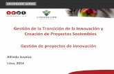 Gestión de la Transición de la Innovación y Creación de ...repositorio.concytec.gob.pe/.../57/5/03_Alfredo...Gestion_Proyecto.pdf · Project portfolio workflow. Fases del proyecto