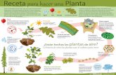 Receta para hacer una Planta · Lo mismo es cierto para las plantas. Nosotros obtenemos carbono de nuestros alimentos, pero ¿de dónde crees que las plantas consiguen el carbono?