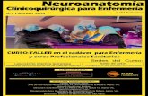 Neuroanatomía Clínicoquirúrgica para Enfermeríacatedraneurocienciascnn.com/wp-content/uploads/curso-neuroanatom… · Neuroanatomía CURSO-TALLER en el cadáver para Enfermería