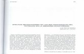 publicaciones.sodepaz.orgpublicaciones.sodepaz.org/.../5_efectosdevastadores.pdf · 2013-09-11 · EFECTOS DEVASTADORES DE LAS MULTINACIONALES DEL ... En cada una de ... los óxidos