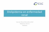 Dislipidemia en enfermedad renal - nefro.cl · Dislipidemia en enfermedad renal Carmen Gloria Bezanilla Collell Medicina Interna ... efectividad del uso de atorvastatina y quinapril