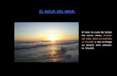 EL AGUA DEL MARmmscdmx.com.mx/docs/Material/Agua de mar.pdf · EL PLASMA MARINO AL ALCANCE DE TODOS Esta es una recopilación de documentos y publicaciones sobre el Agua Marina y