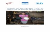 Programa Nacional de Biogas de Nicaragua …€¢ Preparación de la misión a Nicaragua; a través del análisis de información ... • Nicaragua cuenta con una amplia historia implementando