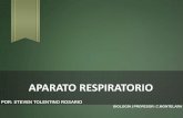 APARATO RESPIRATORIO - quia.com · APARATO RESPIRATORIO POR: STEVEN TOLENTINO ROSARIO BIOLOGÍA | PROFESOR: C.MONTELARA. VOLUMENES PULMONARES VOLUMEN CORRIENTE • Es el aire inspirado