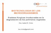 BIOTECNOLOGIA DE LOS MICROORGANISMOSbiotecnologiaindustrial.fcen.uba.ar/wp-content/uploads/2010/04/E2a... · Amiloglucosidasa.Tambiéndenominada Glucoamilasaseobtienetambién de un