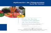 Aplicación de Plaguicidas - agrocabildo.org · principales plagas de las hortalizas que se plantan ... pimiento, berenjena) Cucurbitáceas ... Hay tres especies de moscas blancas