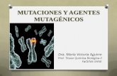 MUTACIONES Y AGENTES MUTAGÉNICOSecaths1.s3.amazonaws.com/quimicabiologica2/591253964.Mutaciones... · descendencia y sobre ellas actuará la selección natural Las que sufren las