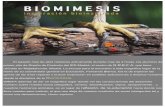 Biomimesis - natureinspireus.files.wordpress.com · mapa mental . LAURA MUNÁRRIZ Sujección universal para deportistas . ... Este ejercicio forma parte de la asignatura de Biomimésis