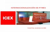 INTERNACIONALIZACIÓN DE PYMES - …iberpyme.sela.org/APEX2008/MarCastroICEX.pdf · 3 la internacionalización de pymes 1. incrementar la base de empresas exportadoras necesidad de