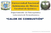 Universidad Nacional Autónoma de Méxicodepa.fquim.unam.mx/amyd/archivero/P9Bomba_22abril2014_27419.pdf · OBJETIVO Que el alumno determine el calor de combustión de una muestra