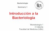Presentación de PowerPoint - fmed.uba.arº_Cuatrimestre_2017.pdf · La microbiología es la ciencia encargada del estudio y análisis de los microorganismos, ... Ultra estructura