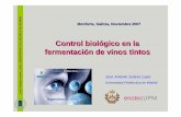 Control biológico en la fermentación de vinos tintosmediorural.xunta.gal/fileadmin/arquivos/investigacion/evega/suarez... · Maceración: procesos José Antonio Suárez Lepe. UNIVERSIDAD