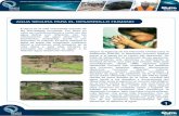 AGUA SEGURA PARA EL DESARROLLO HUMANO · casos de déficit, se aprovechan los caudales de los ríos Blanco Chico y Papallacta. En 2009, este sistema aportó aproximadamente 75 millones