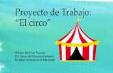 Proyecto de Trabajo: “El circo” · fiesta de apadrinamiento lector. ¡Nuestra clase se convirtió en magos! MAPA CONCEPTUAL. EVALUACIÓN La evaluación se realiza a …