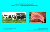 CALIDAD DE CARNE BOVINA VISIÓN DE LA … DE... · 2016-04-11 · TALLER DE LA CARNE PUYEHUE 23 –24 JUNIO 2011. ... una ganadería bovina de razas de leche y doble ... VACAS P/ENGORDA