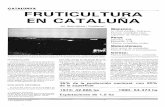 CATALUNYA FRUTICULTURA EN CATALUÑA - … · considerablemente los costes de poda y reco- ... te la década de los 60 y 70. LA FRUTICULTURA CATALANA ... EVOLUCION Y DISTRIBUCION TERRITORIAL,