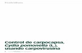 Material y métodos - Gowangowan.es/.../Informe-IRTA-Carpovirusina-publicado-en-Fruticultura.pdf · revista de Fruticultura • Nº41 mayo | junio 2015 3 C ... poda y aplicaciones