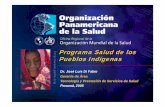 Salud de los Pueblos Indígenas PAN-2005 - …€¦ · Más de 40% 2. Guatemala 10,801 7,129 66 3. Peru 24,797 ... de las diversidades en el marco de sociedades plurales equitativas