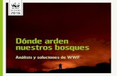 Dónde arden nuestros bosques - awsassets.wwf.esawsassets.wwf.es/downloads/dondeardennuestrosbosques2016.pdf · Ya se ha demostrado con creces que somos buenos apagando incendios,