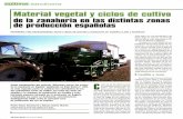 Material vegetal y ciclos de cultivo de la zanahoria en ... · ... fecha y dosis de siembra y producción en Castilla y León y ... zona centro desde julio a febrero ... Zanahoria
