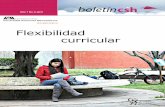 Flexibilidad curricular - DigitalDCSHcshenlinea.azc.uam.mx/documentos/programas/bid/bid6.pdf · El proyectar la flexibilidad en función de abordar problemas de la realidad demanda