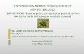 PRESENTACIÓN NORMA TÉCNICA PERUANA NTP … · Señalización CONTENIDO DE LA NTP 151.402:2012. 5.1.2 Evaluación del terreno ... Sin residuos tóxicos. CONTENIDO DE LA NTP 151.402:2012.