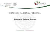 COMISION NACIONAL FORESTAL Gerencia Estatal Puebla PP 4CNICC2014... · Actividades humanas emiten gases a la atmósfera Agricultura Ganadería ... Surgimiento de REDD+ en las ...
