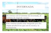 INVERNADA - Actividad Agropecuariacursosagropecuarios.org.ar/alumnos/material-de-estudio/invernada.pdf · demanda es energética y es la menos eficiente en conversión ... Se adaptan