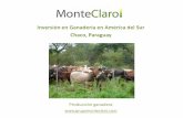Inversión en Ganadería en América del Sur Chaco, … Paraguay - Oportunidad de Inversion... · engorde pastoril a medida que la tierra ganadera se convierte en agrícola. ... La