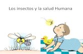Los insectos y la salud Humana - …ecaths1.s3.amazonaws.com/entomologiaforestal/1352059673.Los... · Los insectos y la salud Humana. Insectos Salud Humana perjudiciales benéficos
