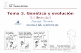 Tema 3. Genética y evolución - dpbiologia.weebly.comdpbiologia.weebly.com/uploads/2/1/5/5/21553524/gtp_t3.genética_y... · Interpretación árboles genealógicos Enfermedades ligadas