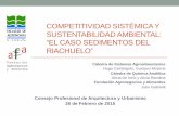 Competitividad sistÉmica y sustentabilidad … · COMPETITIVIDAD SISTÉMICA Y SUSTENTABILIDAD AMBIENTAL: ... de Competitividad Sistémica, demostraba la necesidad de hacer el puerto,