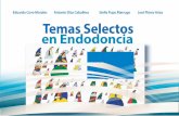 TEMAS SELECTOS - …repositorio.unicartagena.edu.co:8080/jspui/bitstream/11227/6066/1... · en endodoncia y en formación, profundizará los conceptos básicos de la endodoncia ...
