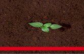 SEMILLAS HORTÍCOLAS SEMILLAS AROMÁTICAS · de cultivo ideal para las plantas hortícolas. La presencia de fertilizantes asegura la nutrición en las primeras fases del cultivo.