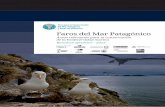 Faros del Mar Patagónico - awsassets.wwfar.panda.orgawsassets.wwfar.panda.org/downloads/faros_del_mar_patagonico_4.pdf · Centro Ballena Azul Machaín, Natalia. Fundación Patagonia