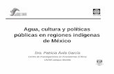 Agua, cultura y políticas públicas en regiones indígenas ... · impacto de la legislación como el de políticas fueron negativos en las cinco regiones. • Es decir, ni la legislación