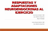 RESPUESTAS Y ADAPTACIONES …academia.utp.edu.co/basicasyaplicadas/files/2012/04/4.-RESPUESTAS... · Sistema endocrino (glándulas adrenales) ... Control del sistema simpático adrenal