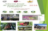 Informe Anual de Áreas técnicas 2016 FIPRODEFO · poda sanitaria de ramas bajas de pinos. ... Arbolado en la Unidad Revolución en ... semilleros de segunda generación en Sierra