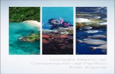 Corredor Marino de Conservación del Pacífico Este Tropicalcloud.gouv.mc/315Coop/ · • El establecimiento de regulaciones y el desarrollo de buenas prácticas de turismo sustentable,