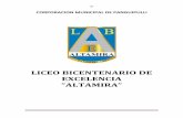 LICEO BICENTENARIO DE EXCELENCIA -  · PERFILES DE LOS AGENTES EDUCATIVOS ... los principales elementos que sirven de ... “Ser reconocidos en la Región de los Ríos como un Liceo